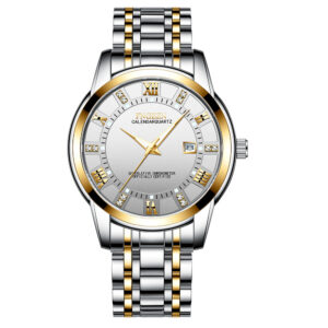 FNGEEN 2081 Stainless Steel Stylish Men Quartz Watch Two tone Chain style strap - Image 6